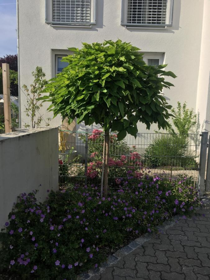 Ferienwohnung Im Herzen Von เคลไฮม์ ภายนอก รูปภาพ